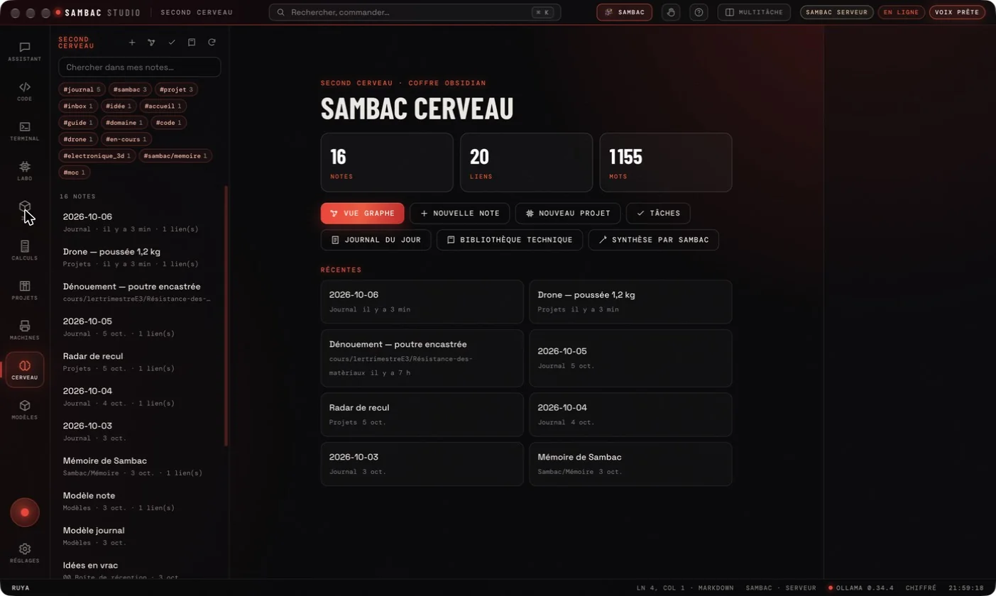 Module Cerveau : second cerveau basé sur un coffre Obsidian avec 16 notes, 20 liens, étiquettes et notes récentes